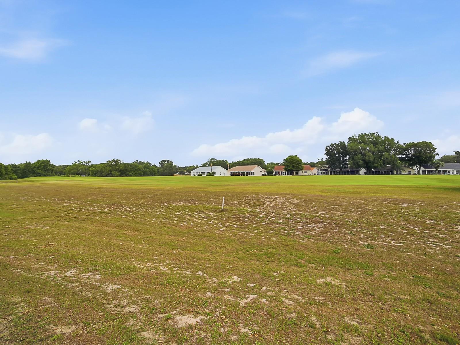 25069 RIVERWALK DR, LEESBURG, FL, 34748