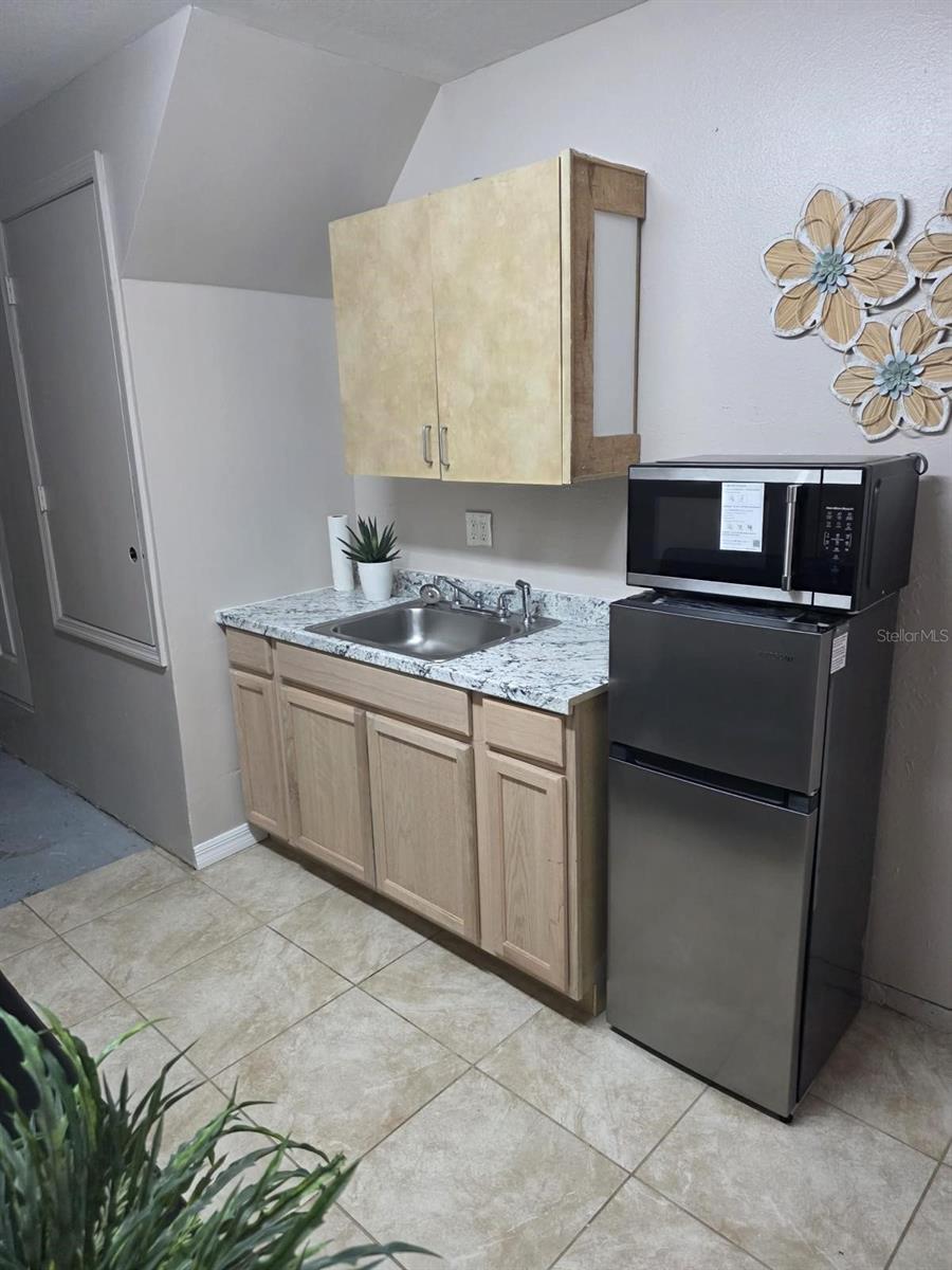 23737 LAKE AVE, SORRENTO, FL, 32776