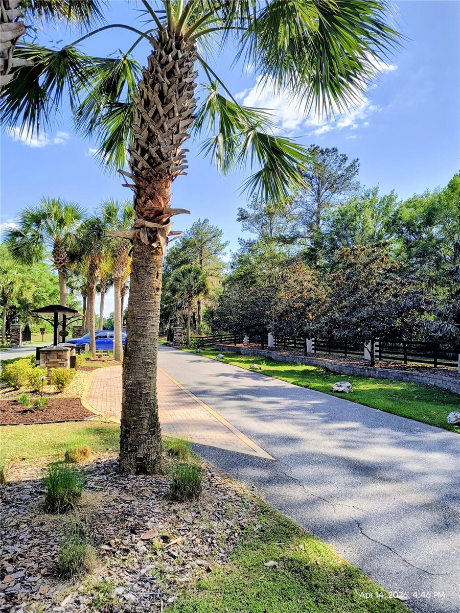 TBD NW 142ND ST, WILLISTON, FL, 32696