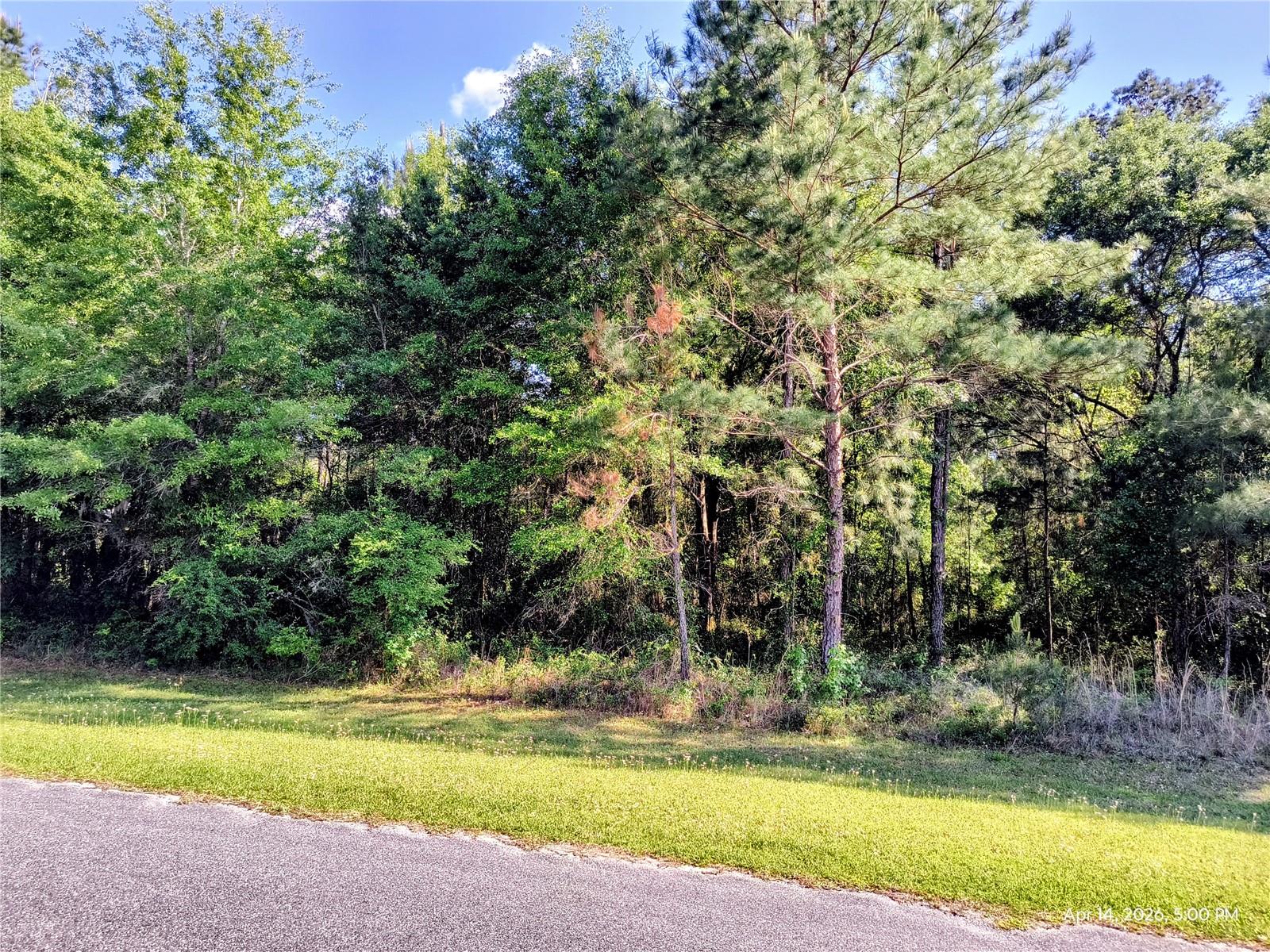 TBD NW 142ND ST, WILLISTON, FL, 32696