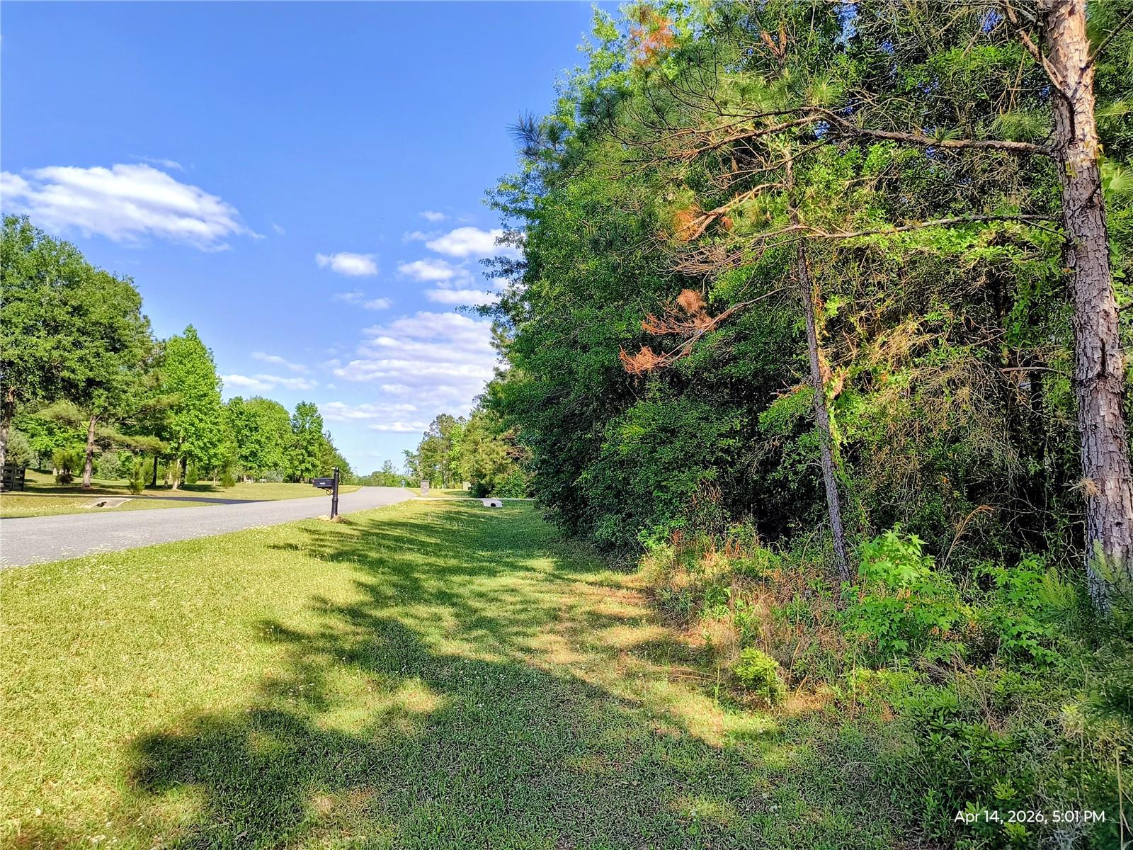 TBD NW 142ND ST, WILLISTON, FL, 32696