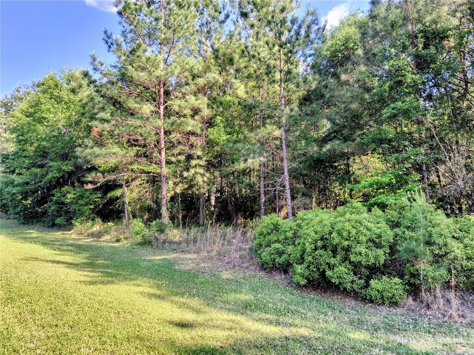 TBD NW 142ND ST, WILLISTON, FL, 32696