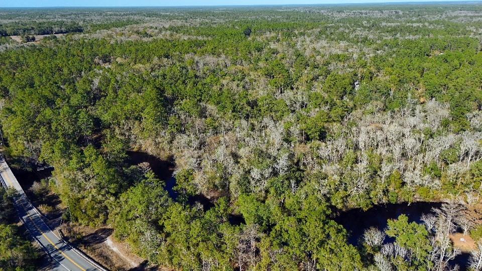 0 CHEROKEE DR, SOPCHOPPY, FL, 32358
