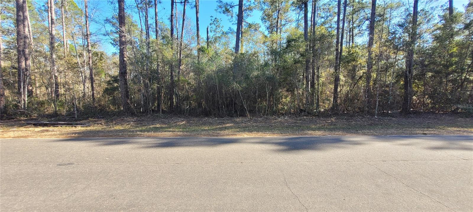 0 CHEROKEE DR, SOPCHOPPY, FL, 32358