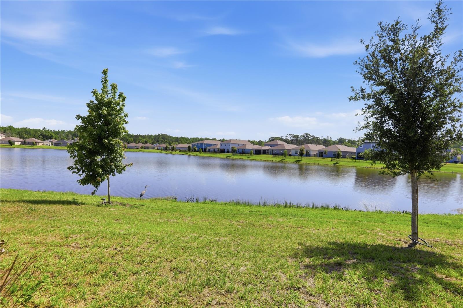 4057 SAGEFIELD DR, HARMONY, FL, 34773