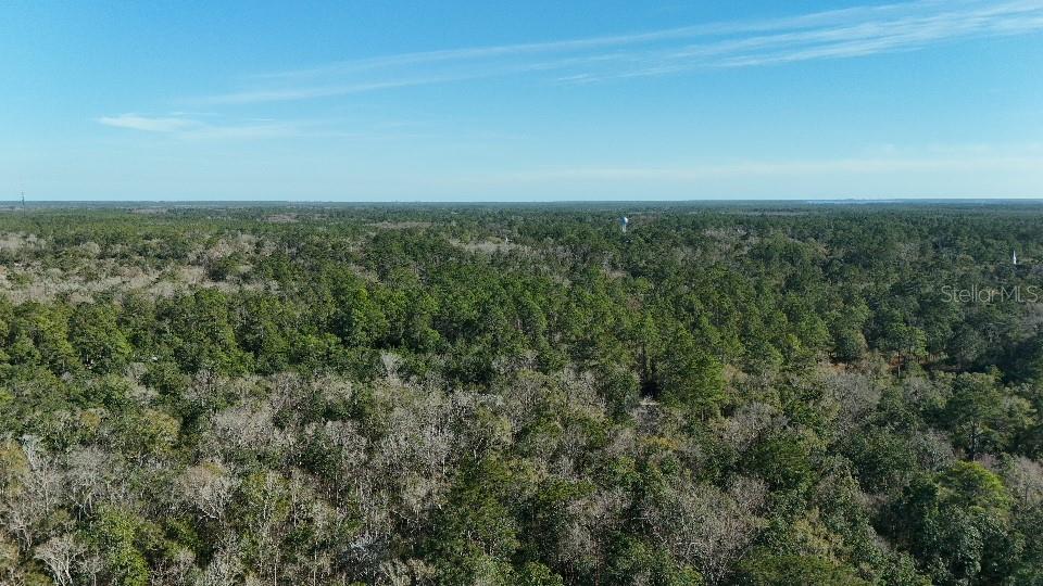 CHEROKEE DR, SOPCHOPPY, FL, 32358