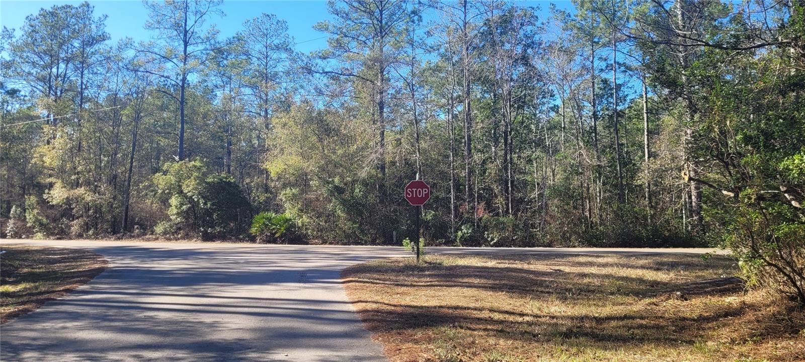 CHEROKEE DR, SOPCHOPPY, FL, 32358