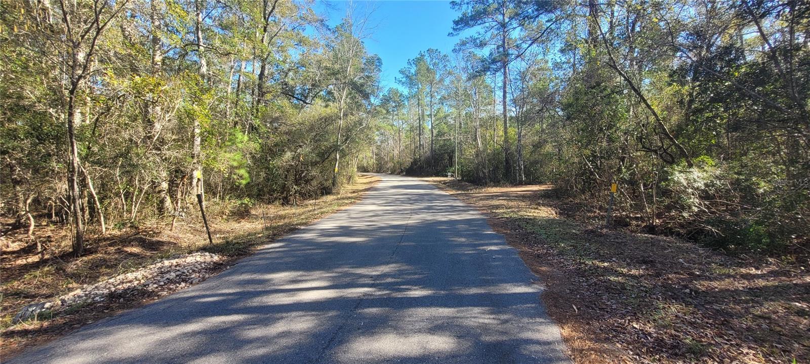 CHEROKEE DR, SOPCHOPPY, FL, 32358