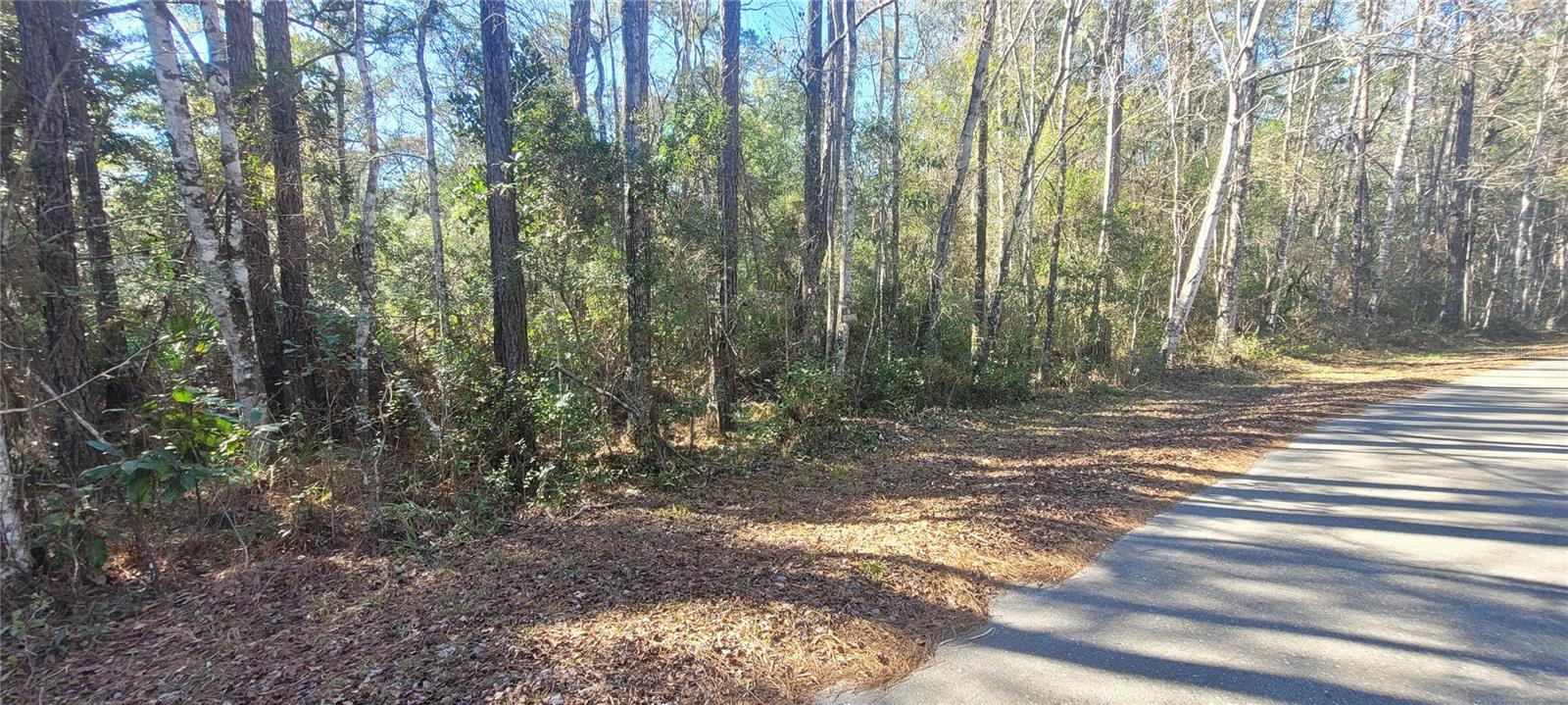 CHEROKEE DR, SOPCHOPPY, FL, 32358