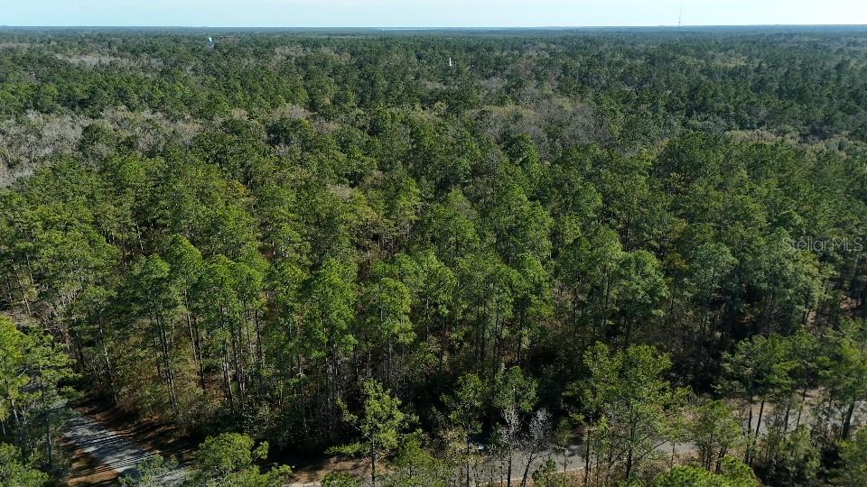 CHEROKEE DR, SOPCHOPPY, FL, 32358