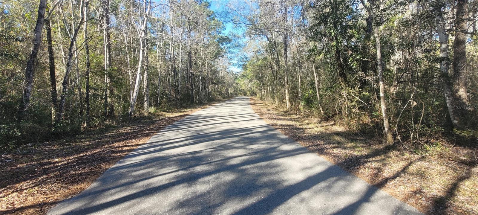 CHEROKEE DR, SOPCHOPPY, FL, 32358