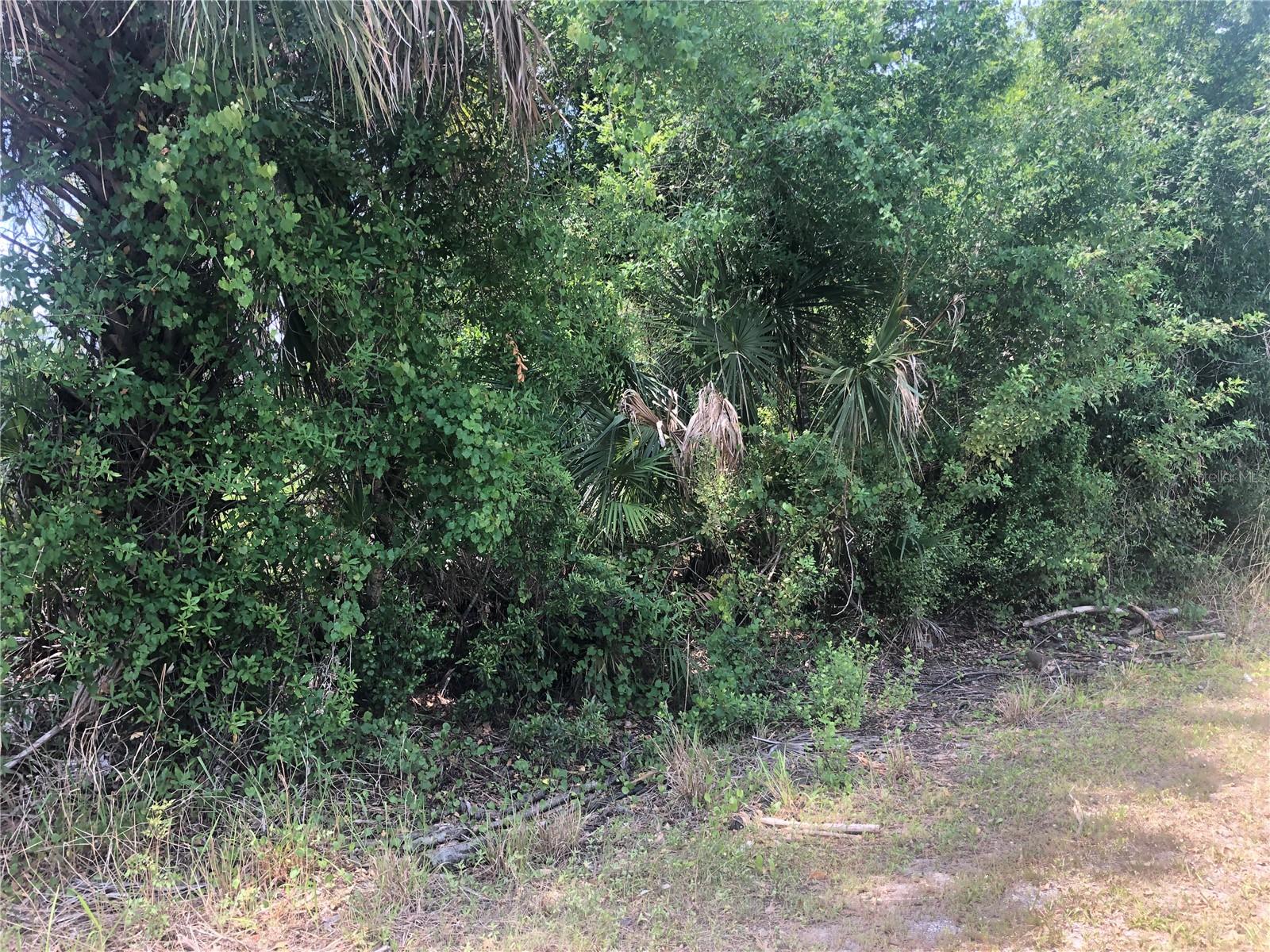 DANDURAND AVE, NORTH PORT, FL, 34291