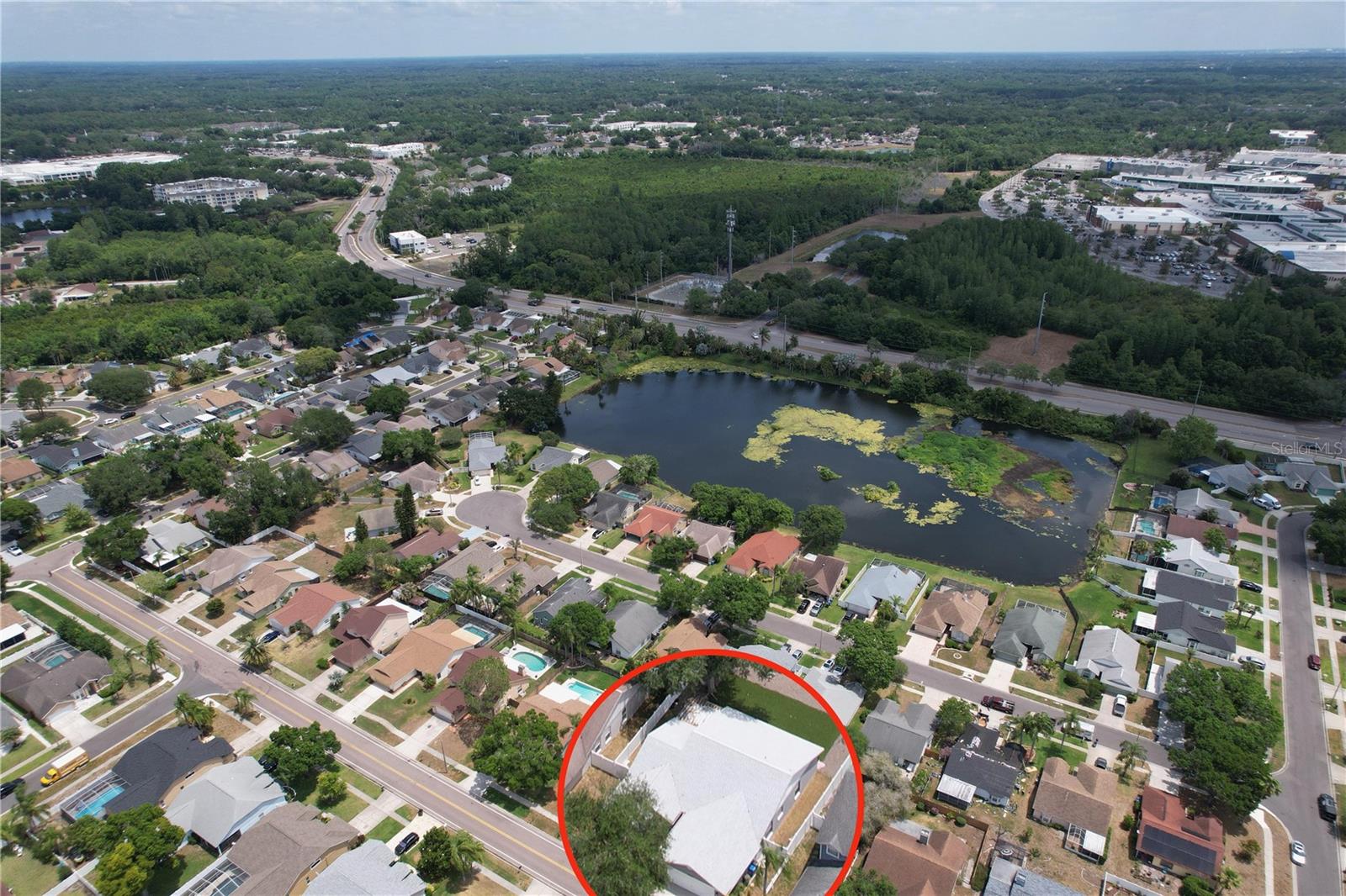13509 FAWN RIDGE BLVD, TAMPA, FL, 33626