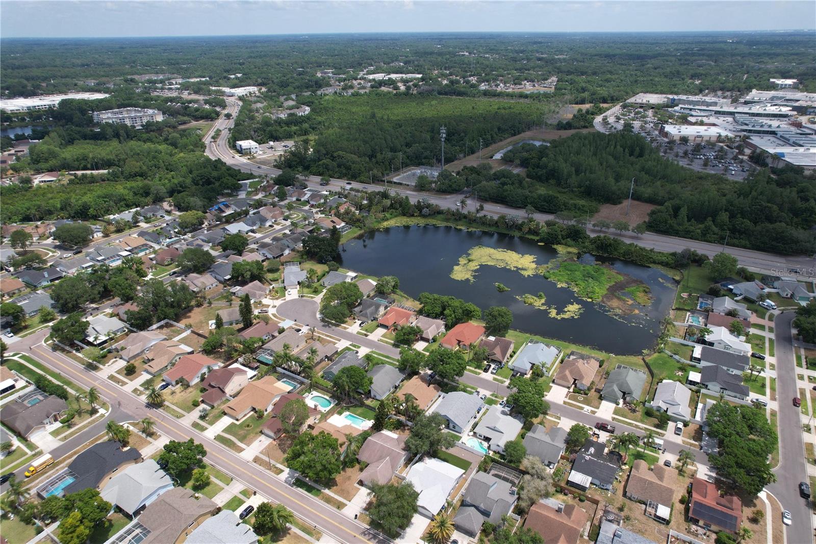 13509 FAWN RIDGE BLVD, TAMPA, FL, 33626