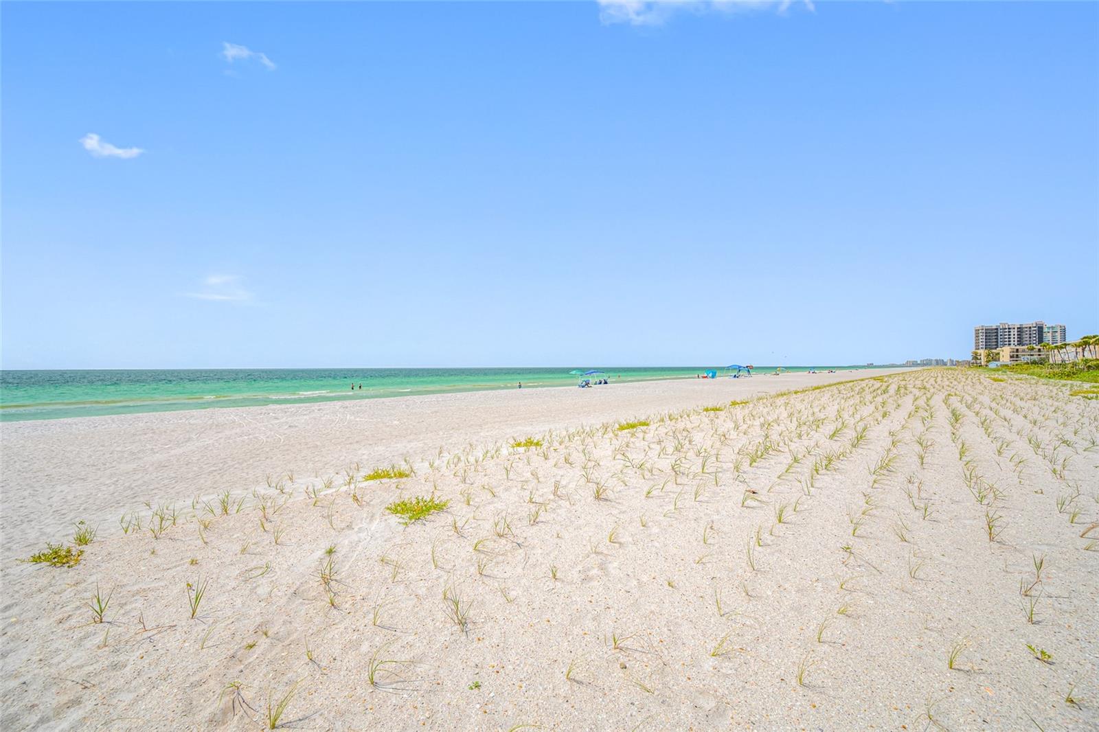 3100 GULF BLVD #132, BELLEAIR BEACH, FL, 33786