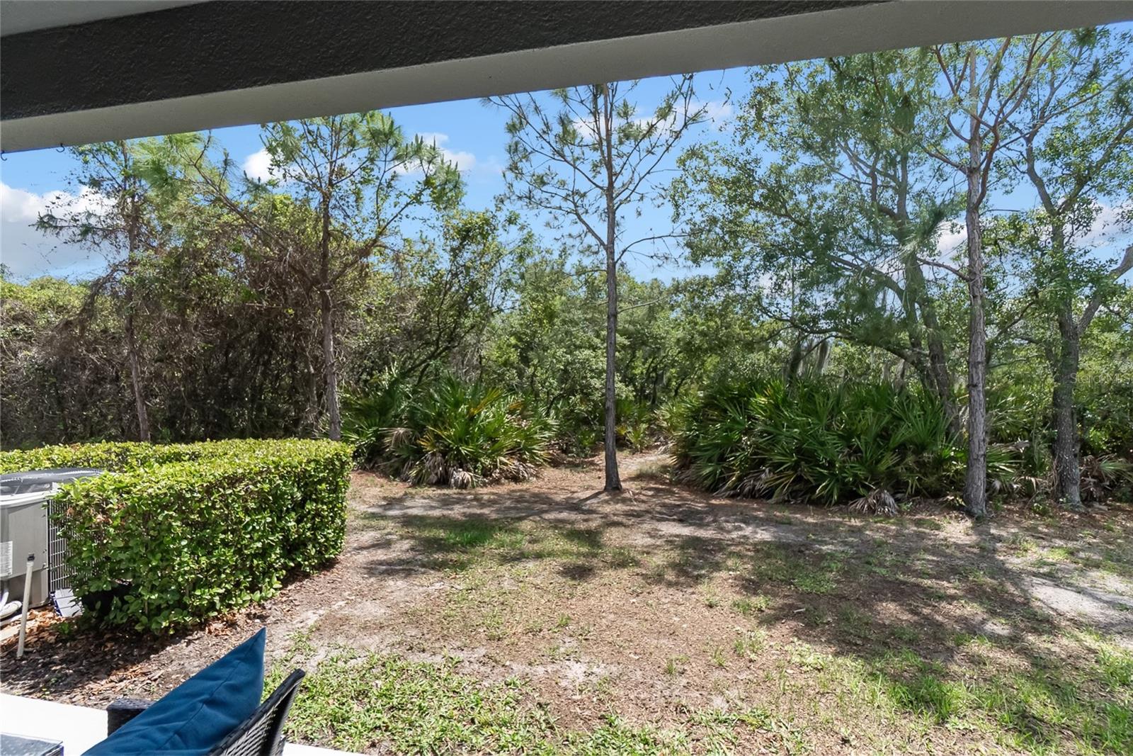8990 INDIGO TRAIL LOOP, RIVERVIEW, FL, 33578