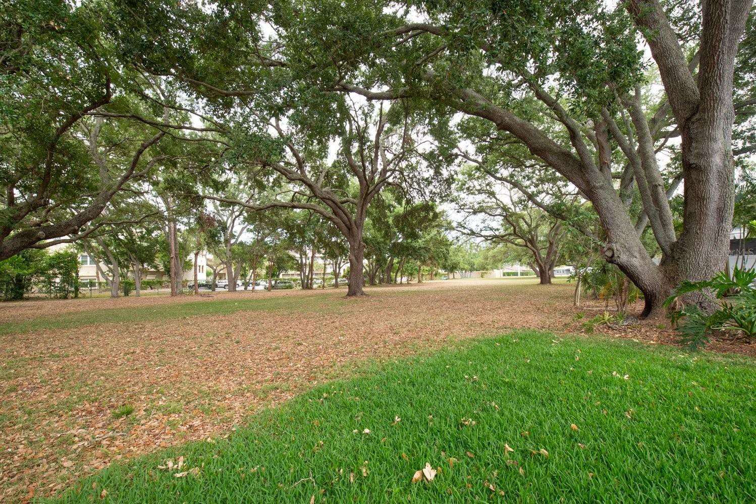 2017 KAMENSKY RD, CLEARWATER, FL, 33763