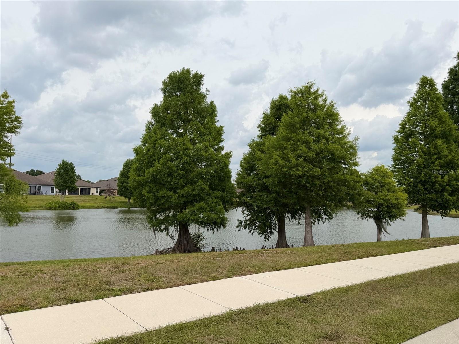 2447 TORRENS DR, LAKELAND, FL, 33805