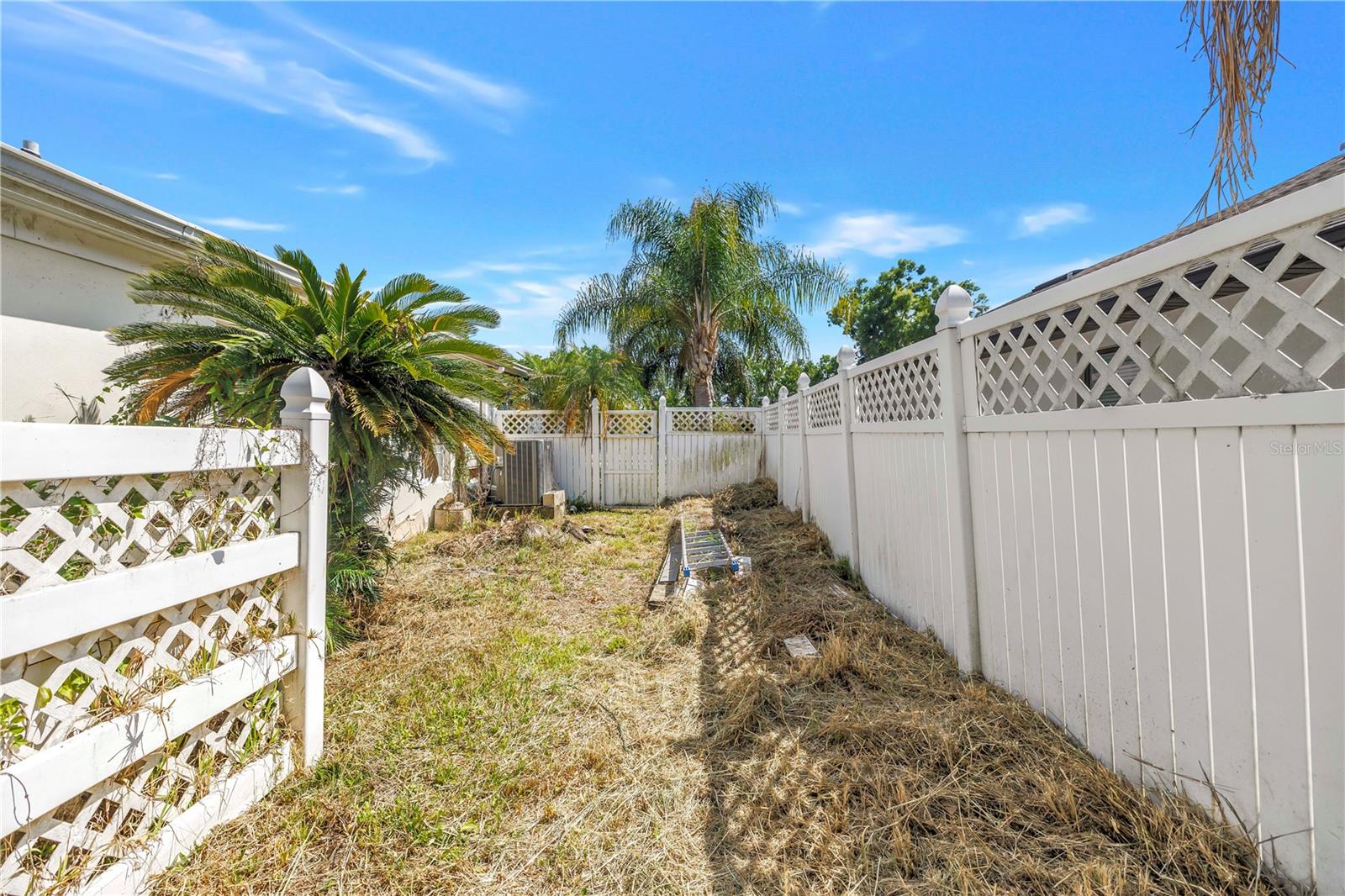 23037 BROWNWOOD CT, LAND O LAKES, FL, 34639