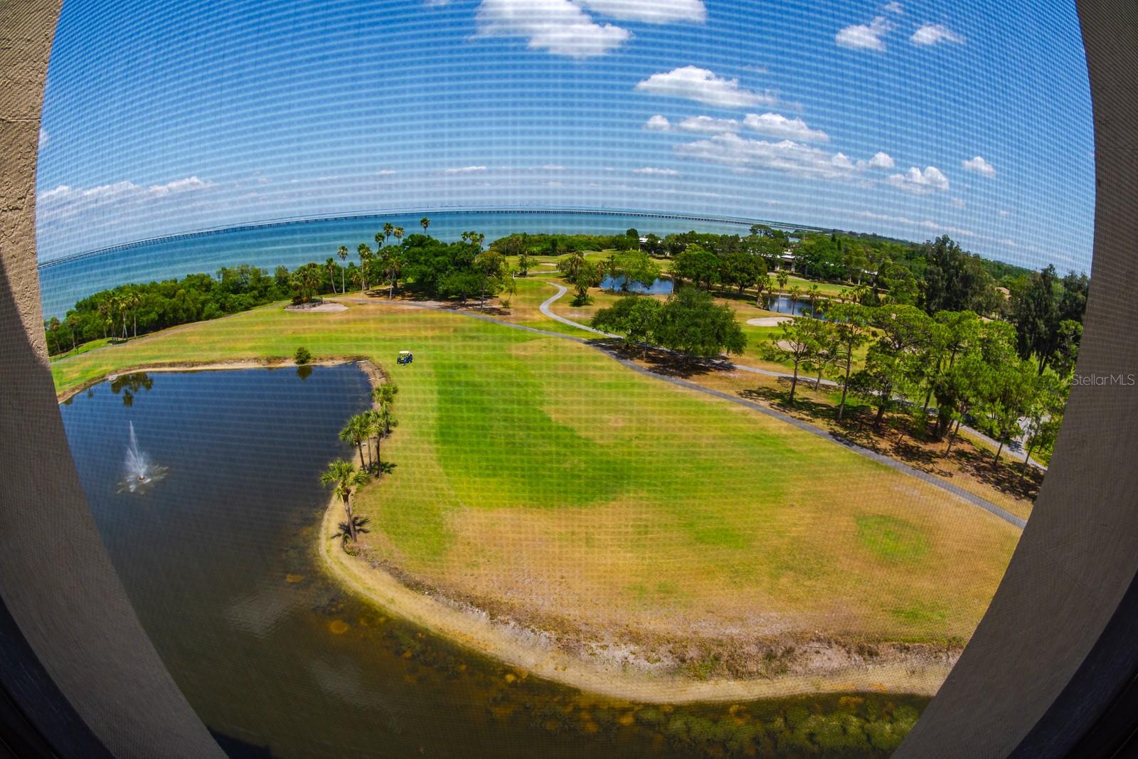 2620 COVE CAY DR #904, CLEARWATER, FL, 33760