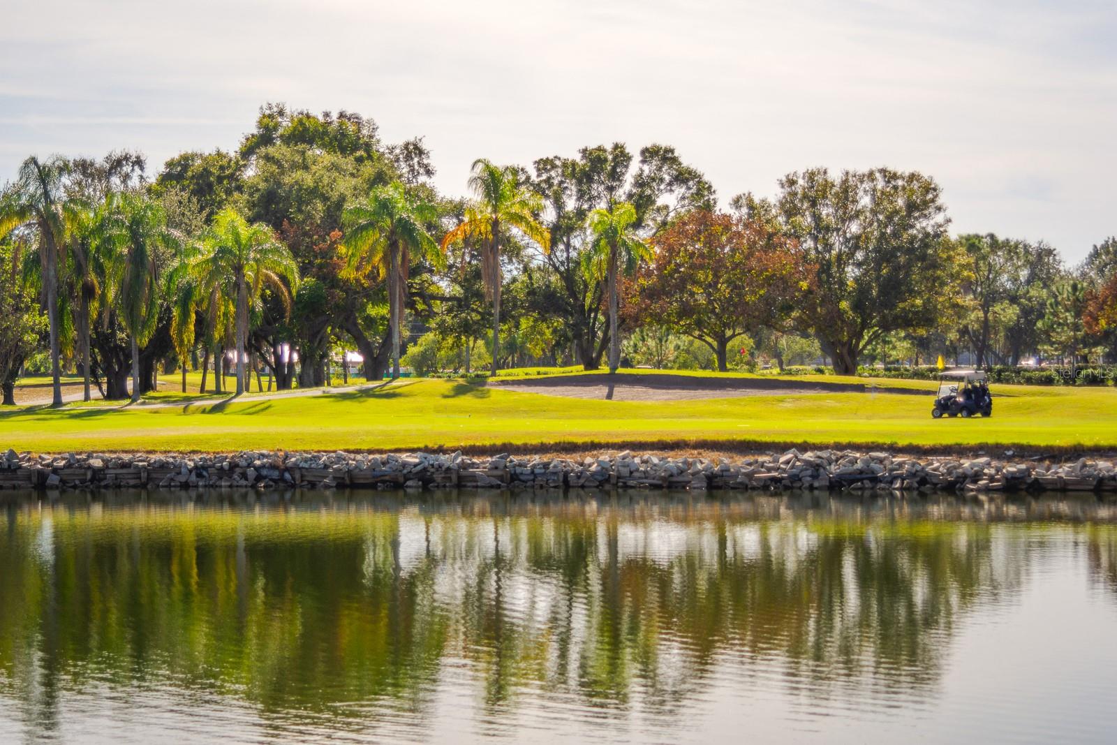 2620 COVE CAY DR #904, CLEARWATER, FL, 33760