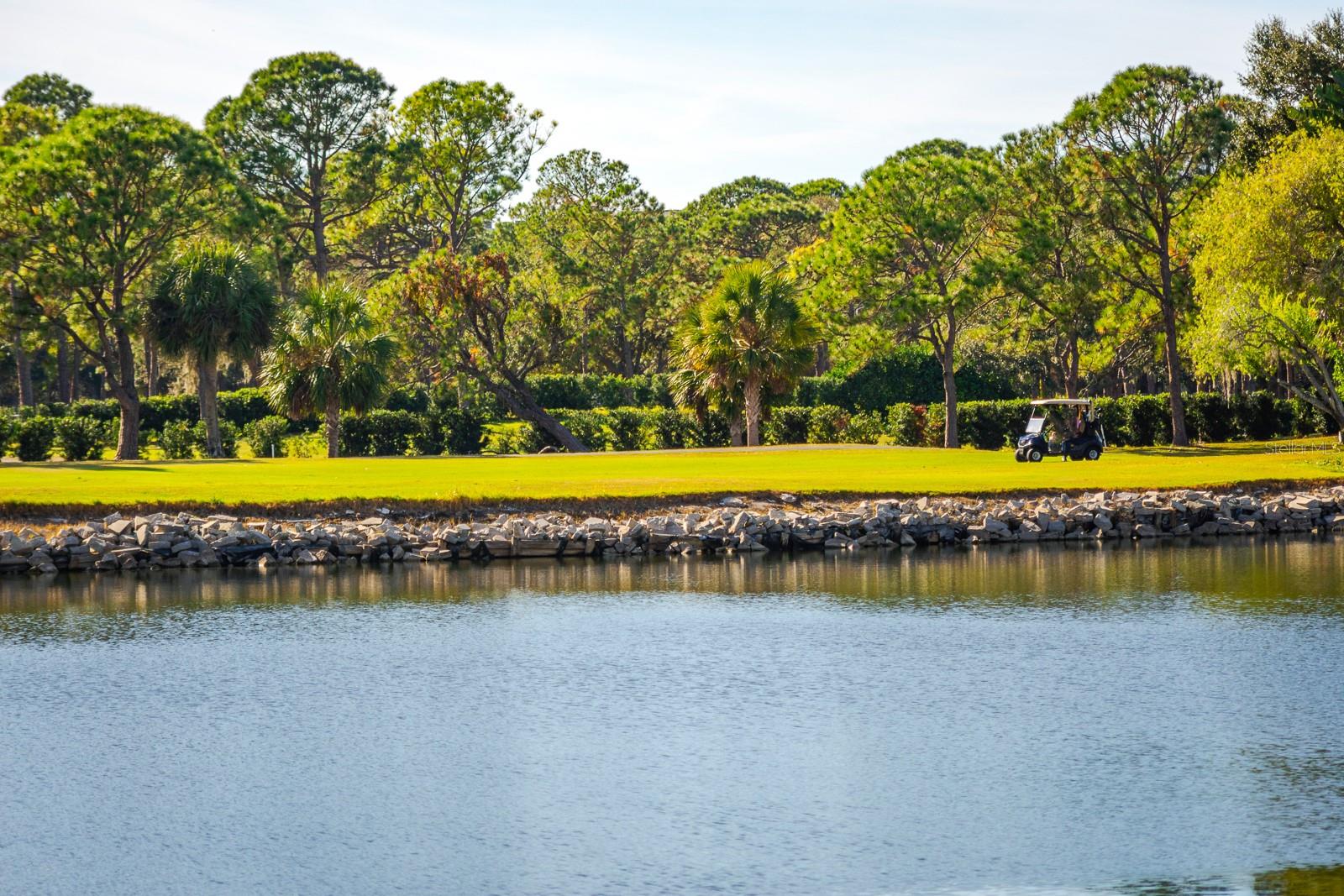 2620 COVE CAY DR #904, CLEARWATER, FL, 33760