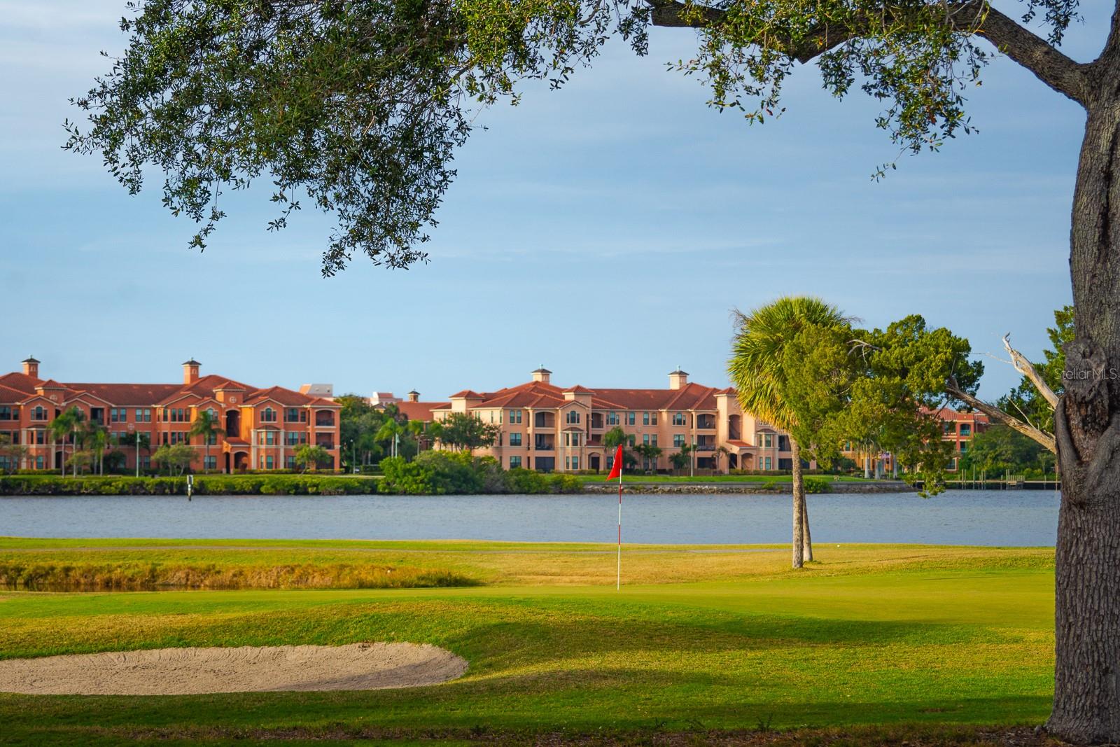 2620 COVE CAY DR #904, CLEARWATER, FL, 33760