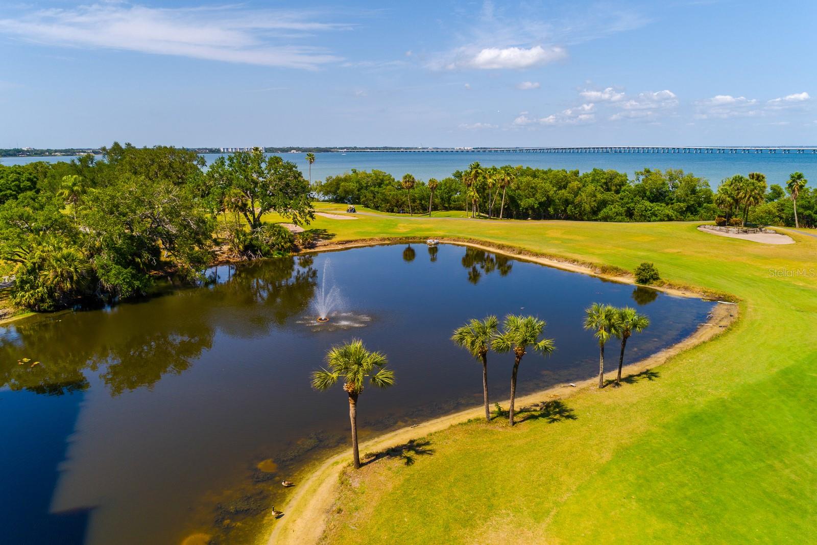 2620 COVE CAY DR #904, CLEARWATER, FL, 33760