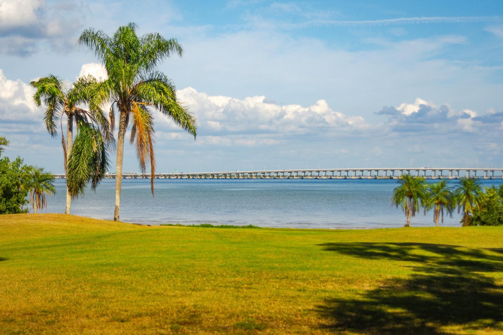 2620 COVE CAY DR #904, CLEARWATER, FL, 33760