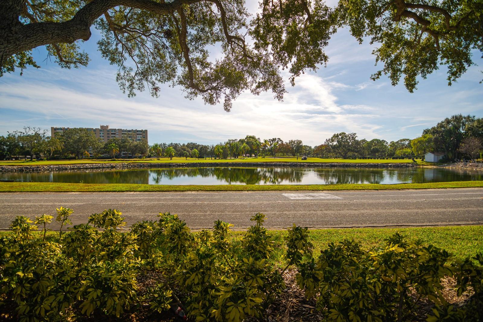 2620 COVE CAY DR #904, CLEARWATER, FL, 33760