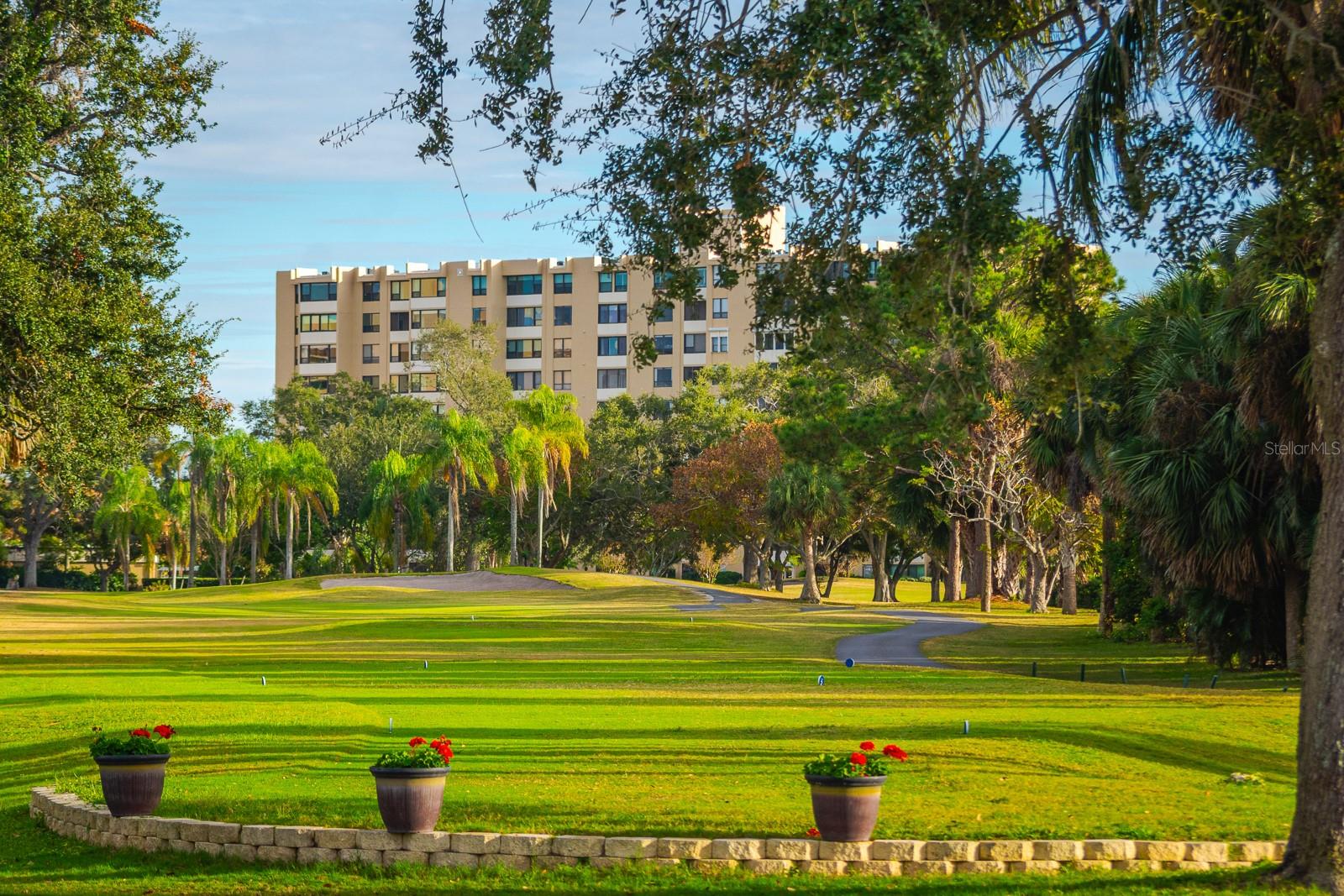 2620 COVE CAY DR #904, CLEARWATER, FL, 33760