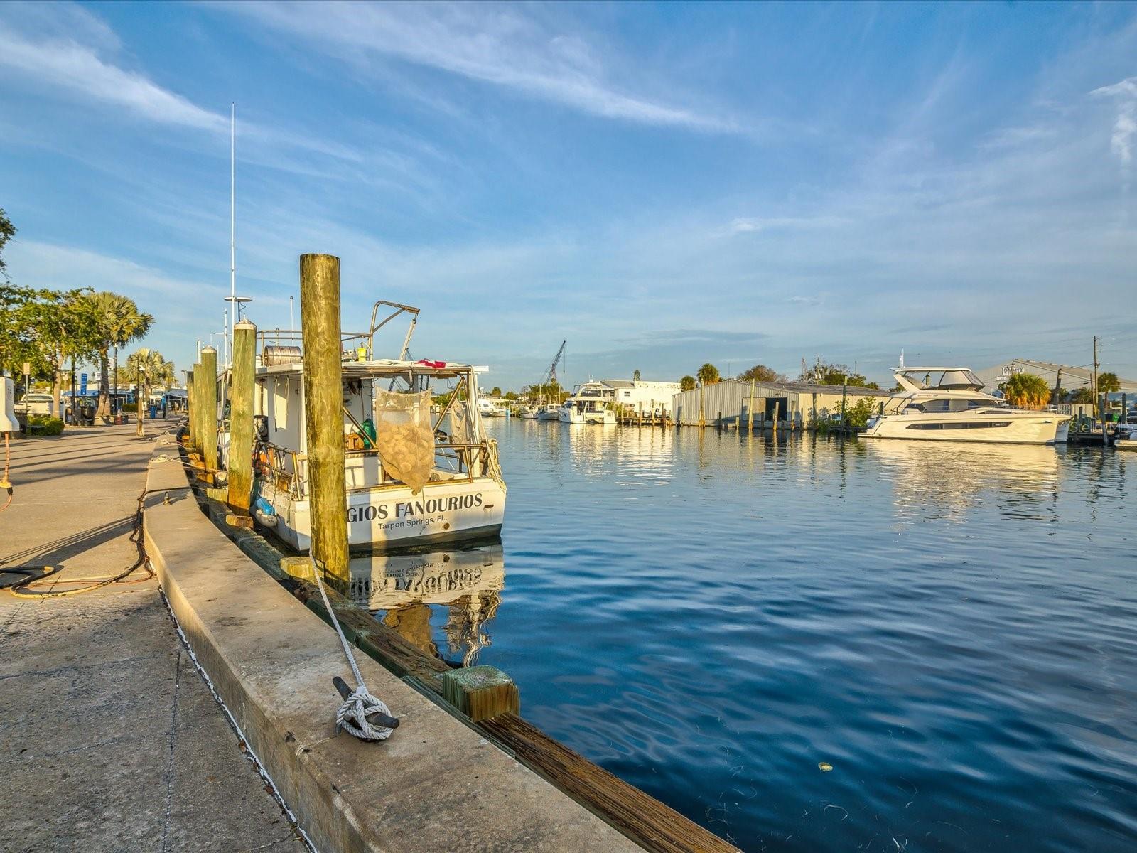 1647 SEA BREEZE DR, TARPON SPRINGS, FL, 34689