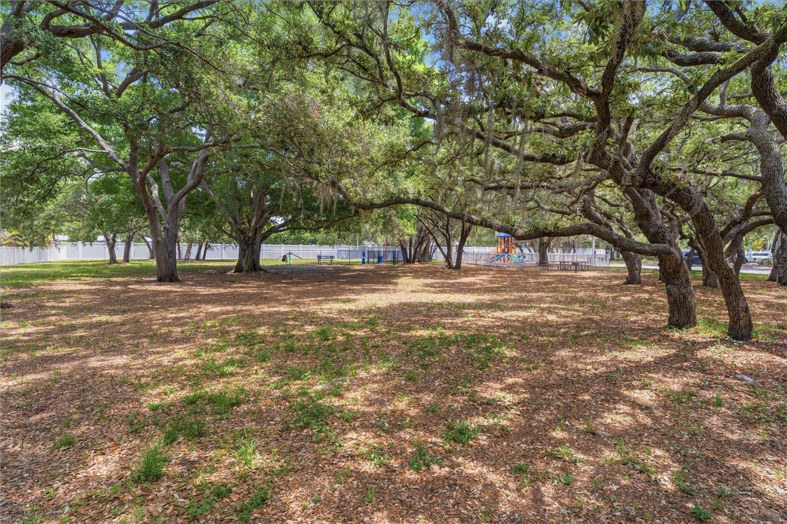 3324 MANOR COVE CIR, RIVERVIEW, FL, 33578