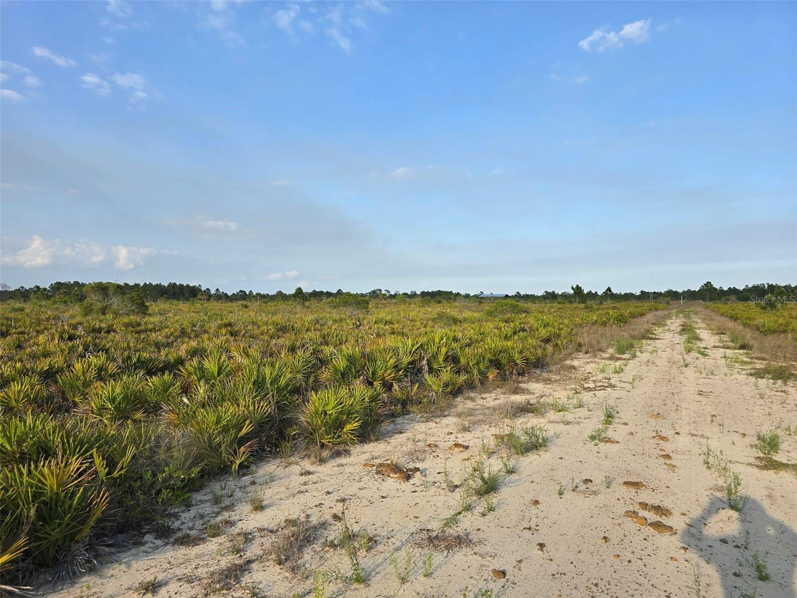 49173 BERMONT RD, PUNTA GORDA, FL, 33982
