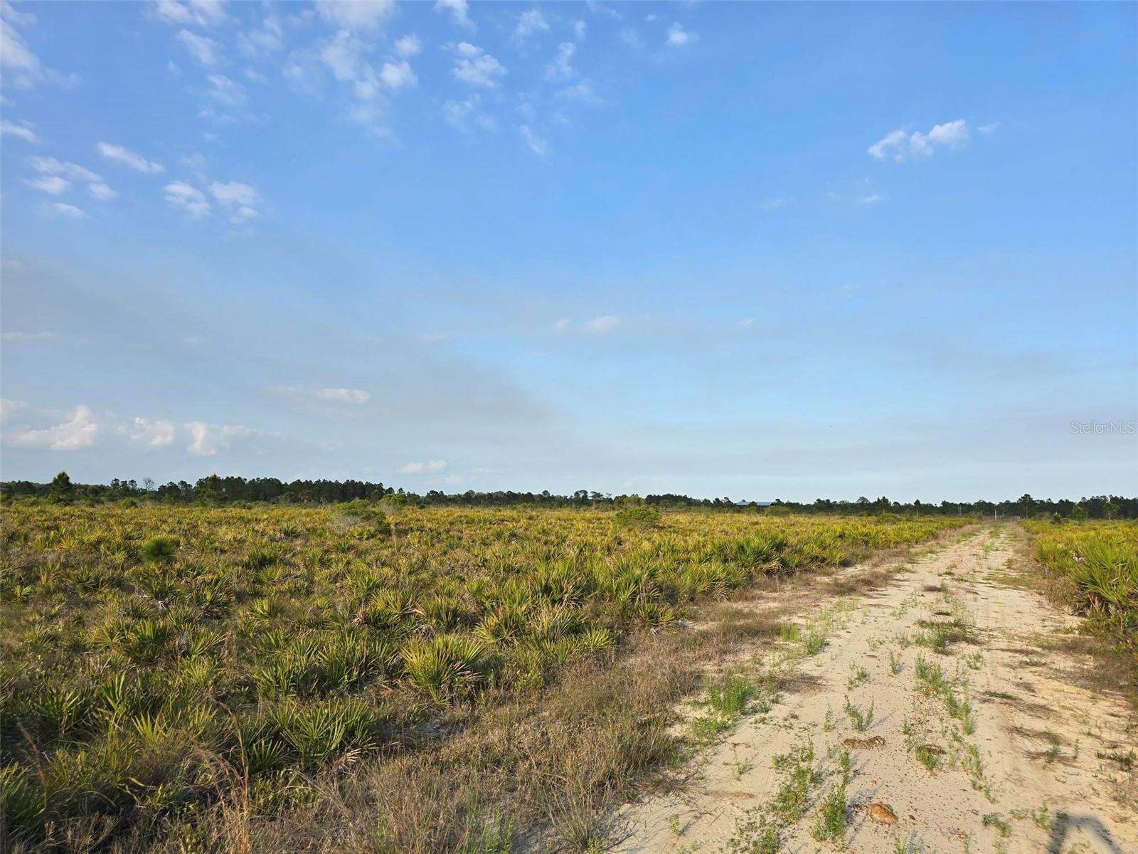 49173 BERMONT RD, PUNTA GORDA, FL, 33982