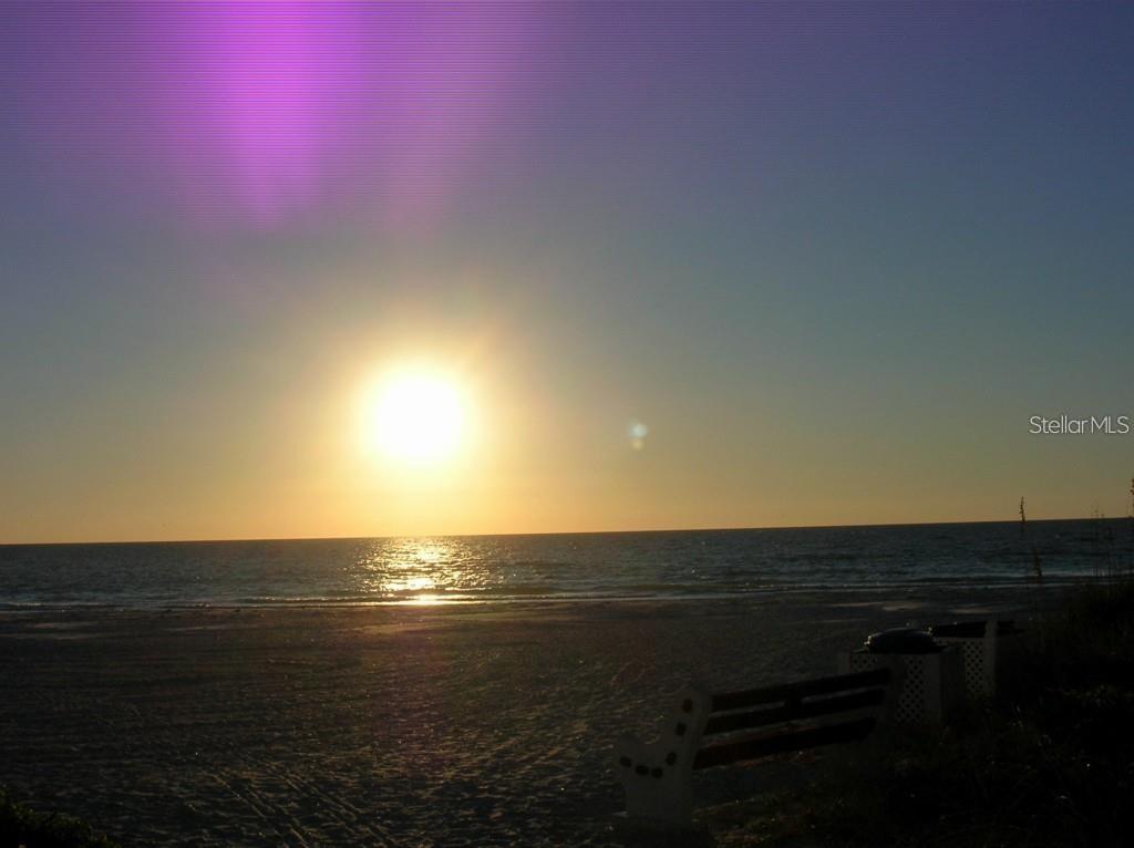 19417 GULF BLVD #A-113, INDIAN SHORES, FL, 33785