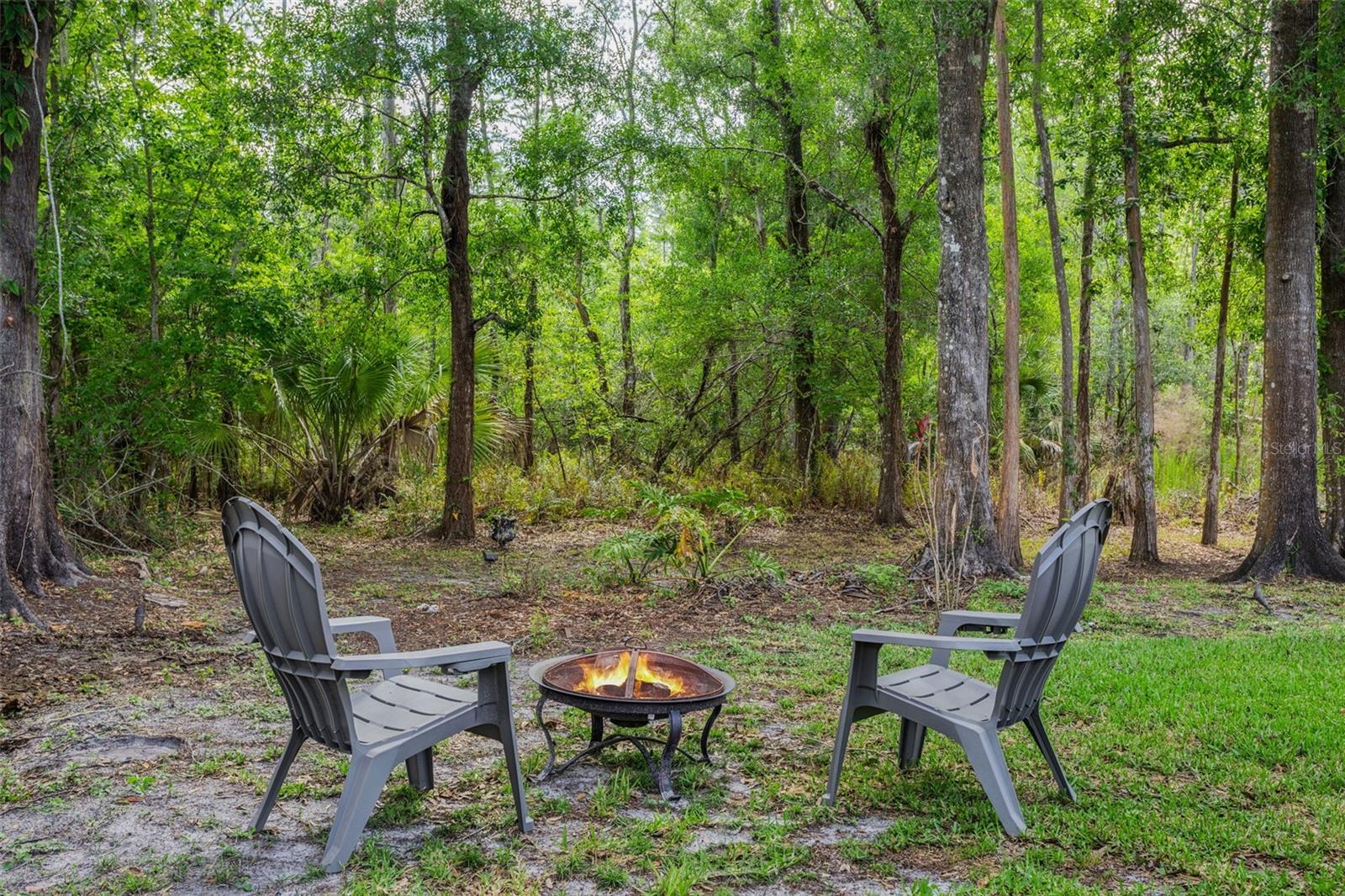 2728 LAKEVILLE DR, TAMPA, FL, 33618