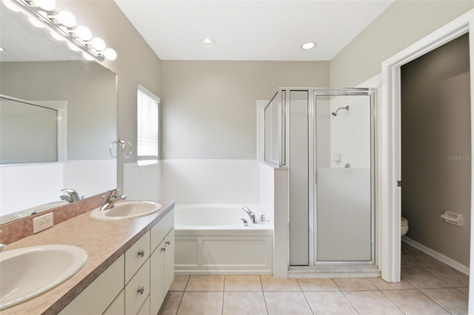 6409 BRIDGECREST DR, LITHIA, FL, 33547