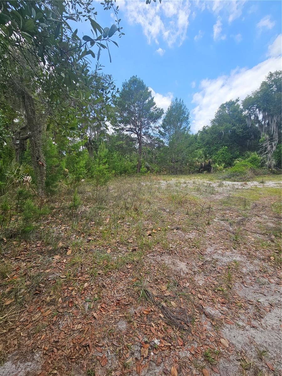 0000 CULVER WAY, GENEVA, FL, 32732