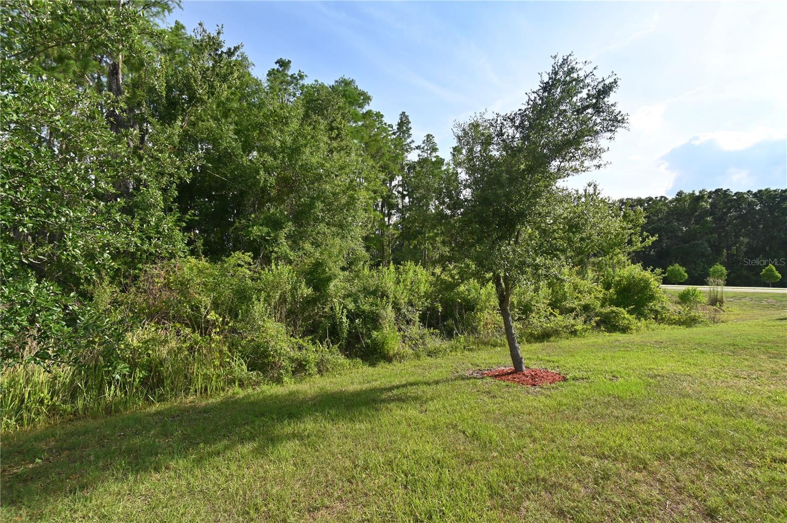 1052 MANZANAR PL, WESLEY CHAPEL, FL, 33543