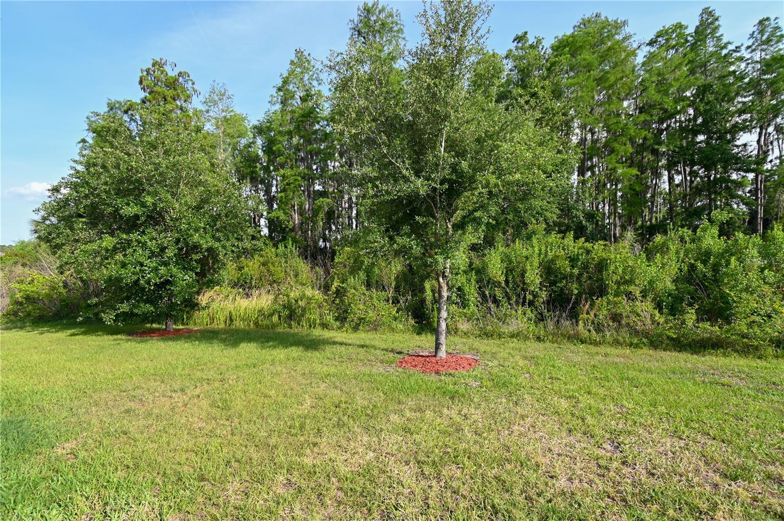 1052 MANZANAR PL, WESLEY CHAPEL, FL, 33543