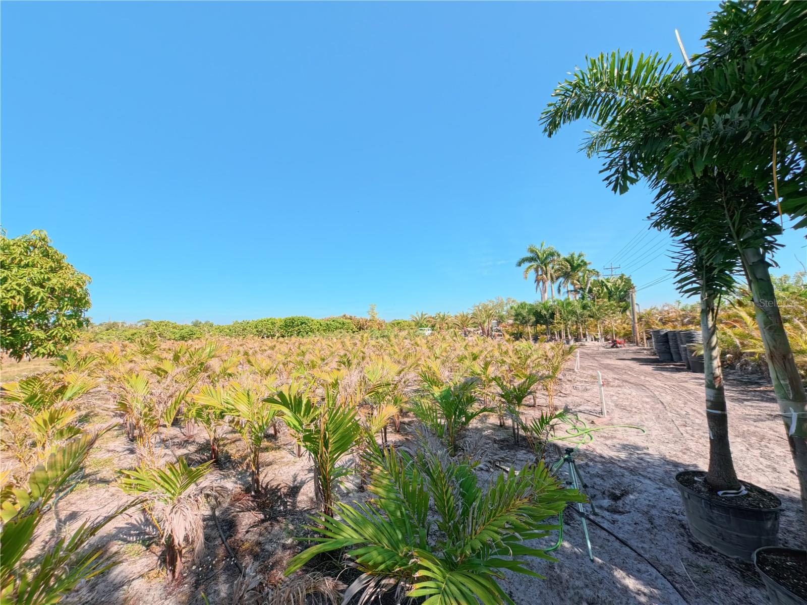 11851 STRINGFELLOW RD, BOKEELIA, FL, 33922
