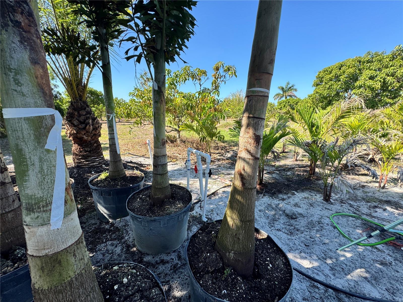 11851 STRINGFELLOW RD, BOKEELIA, FL, 33922