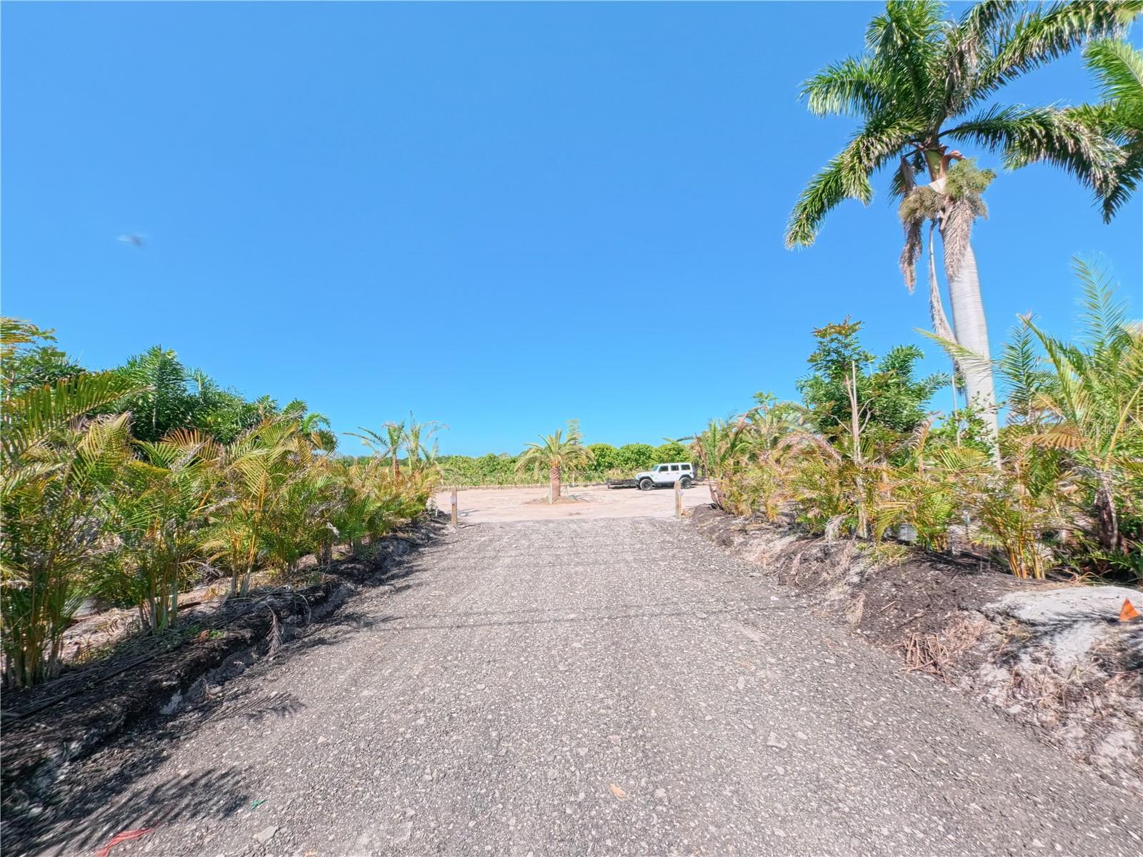 11851 STRINGFELLOW RD, BOKEELIA, FL, 33922