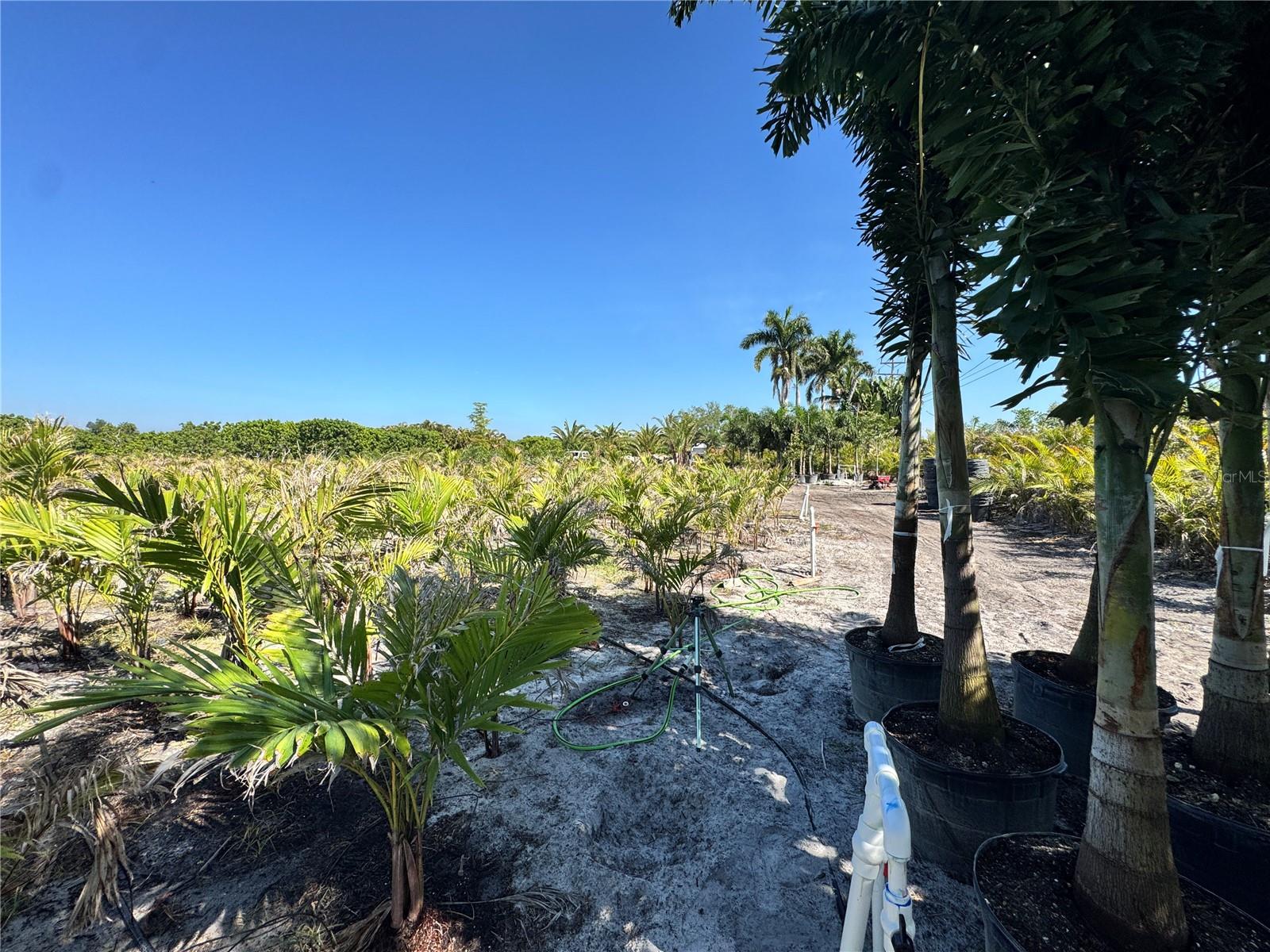 11851 STRINGFELLOW RD, BOKEELIA, FL, 33922