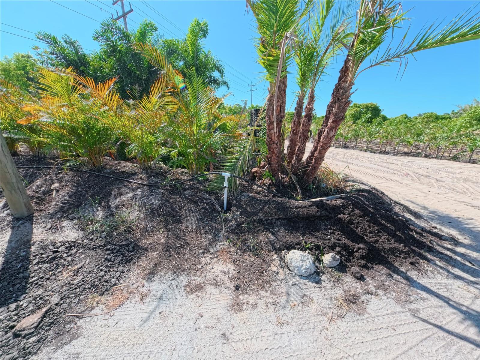 11851 STRINGFELLOW RD, BOKEELIA, FL, 33922