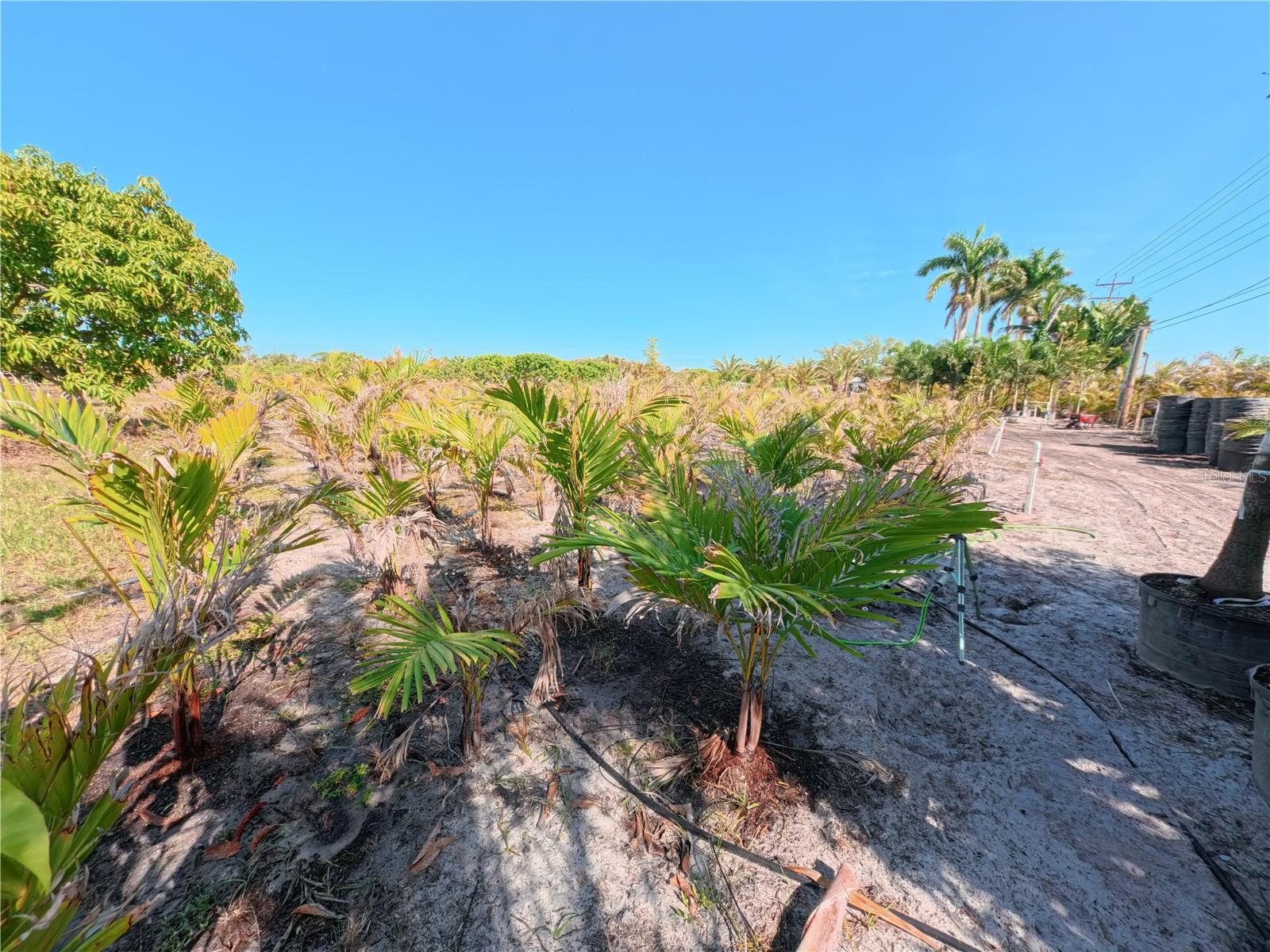 11851 STRINGFELLOW RD, BOKEELIA, FL, 33922