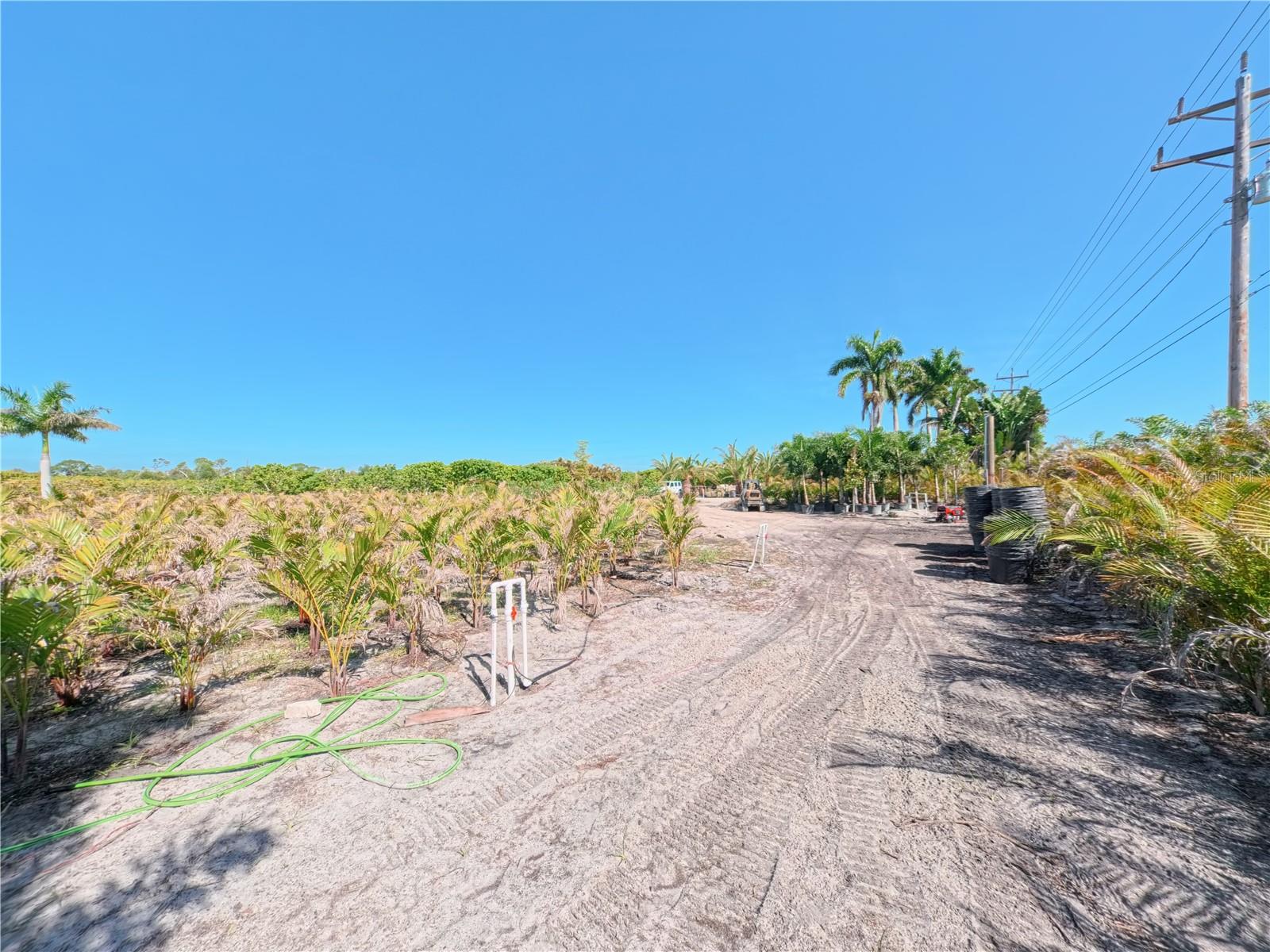 11851 STRINGFELLOW RD, BOKEELIA, FL, 33922
