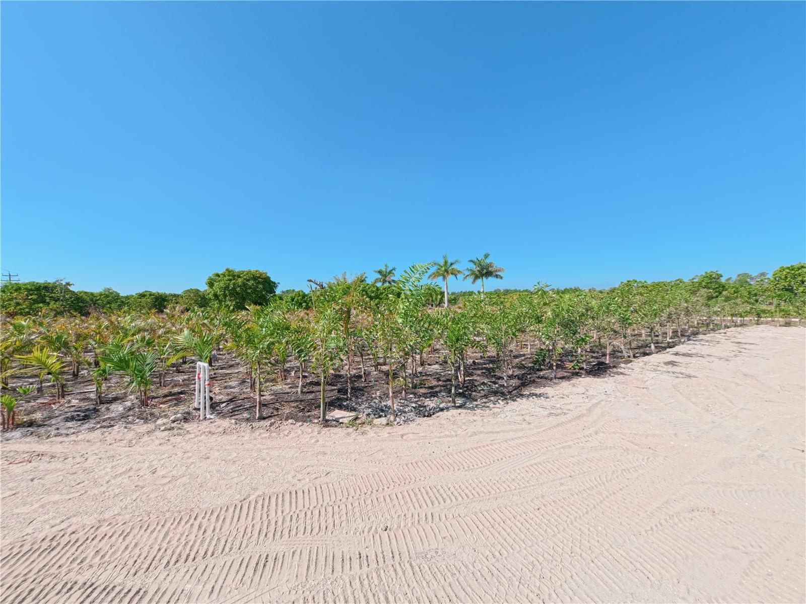11851 STRINGFELLOW RD, BOKEELIA, FL, 33922