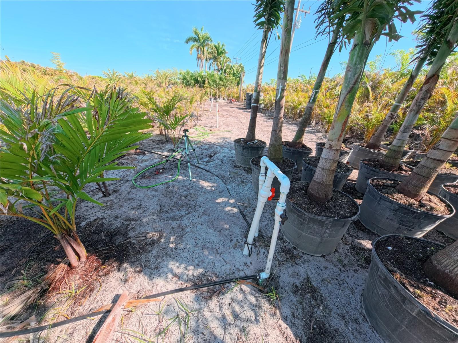 11851 STRINGFELLOW RD, BOKEELIA, FL, 33922